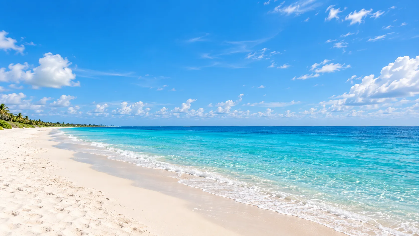 Miami area shoreline