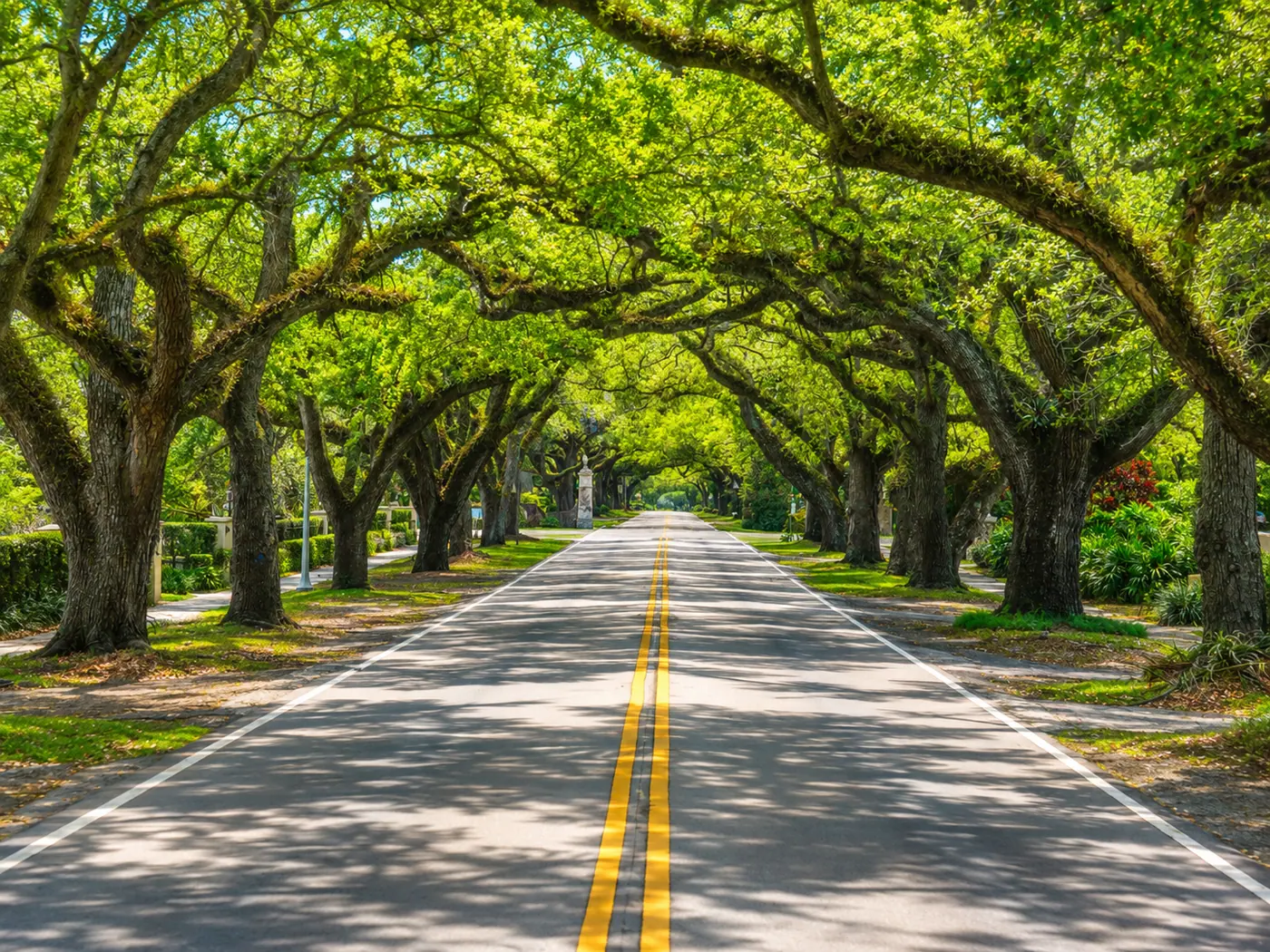 Coral Way, Miami